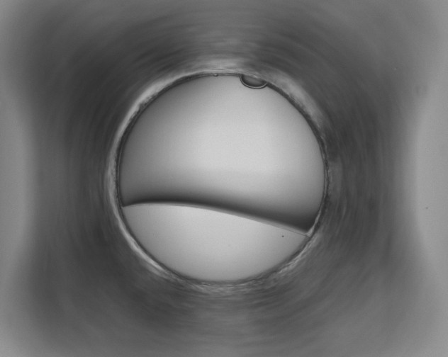 X0000111451432200907131032