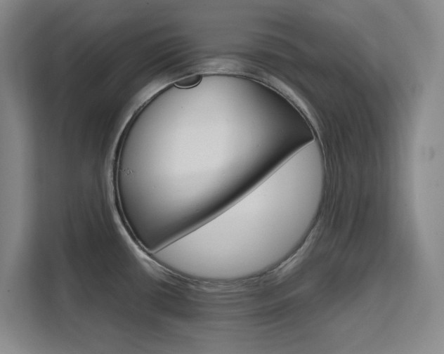 X0000111451434200907131032