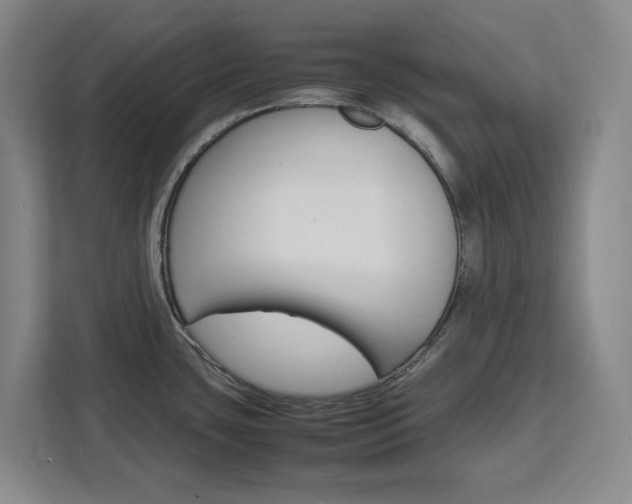 X0000111451435200907131032