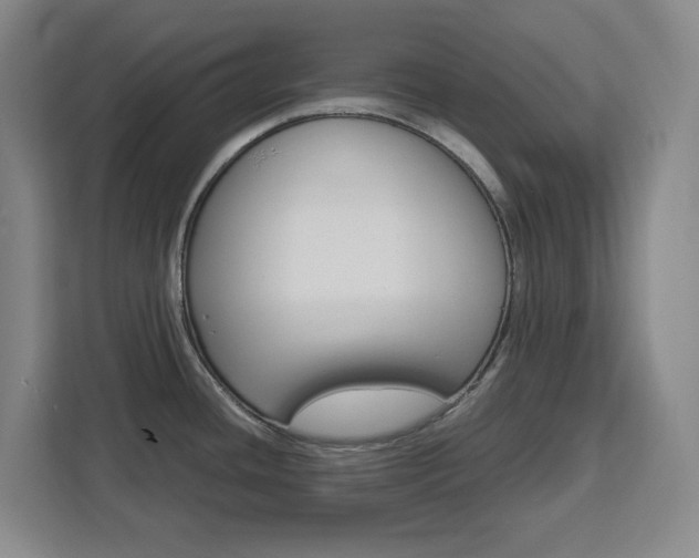 X0000111451436200907131032