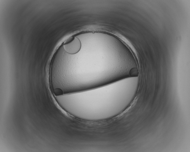X0000111451437200907131032