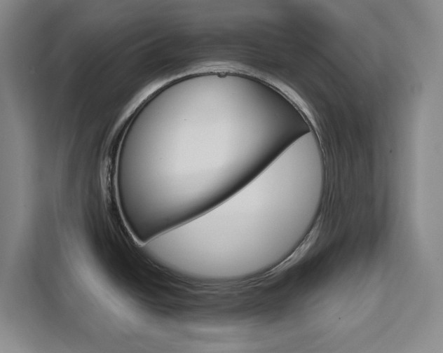 X0000111451438200907131032