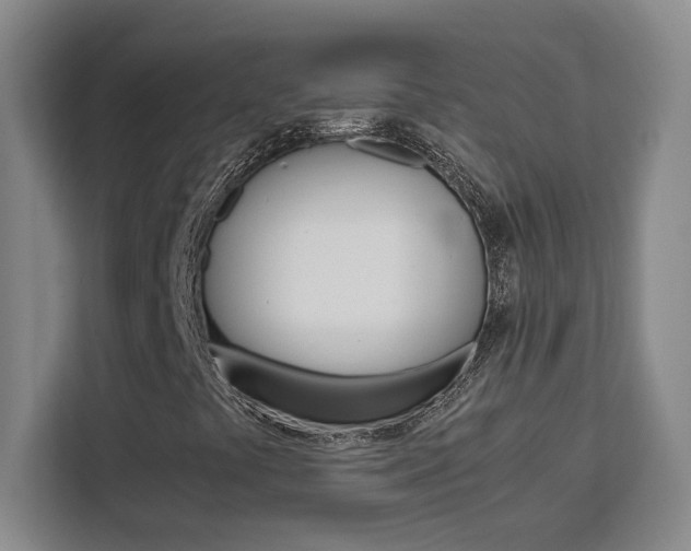 X0000111451441200907131031
