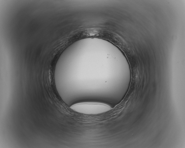 X0000111451442200907131031