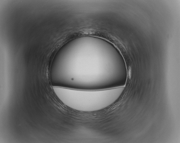 X0000111451444200907131031