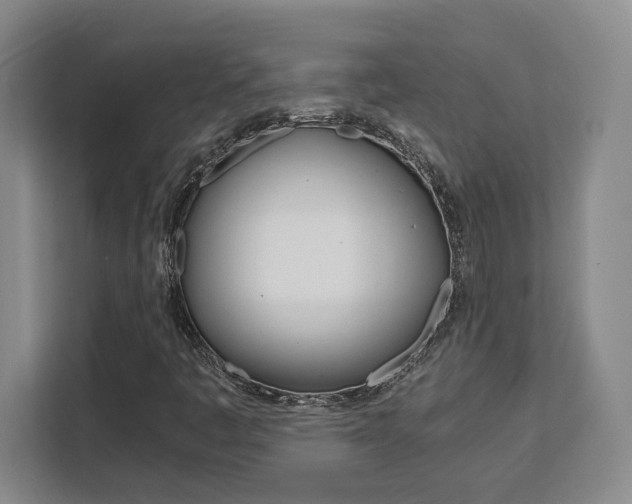 X0000111451445200907131031