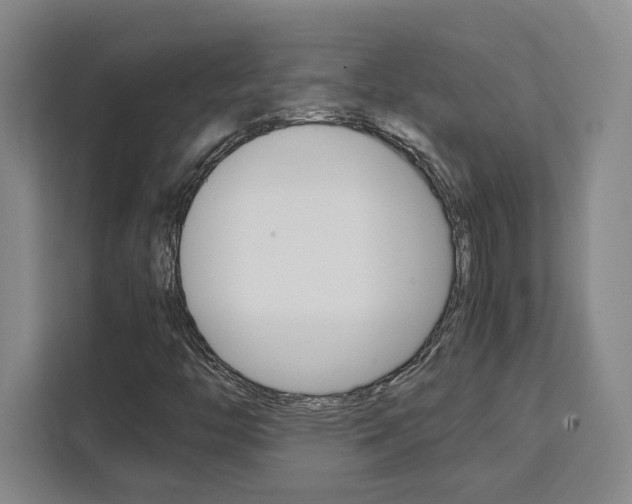 X0000111451446200907131031