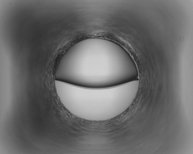 X0000111451447200907131031