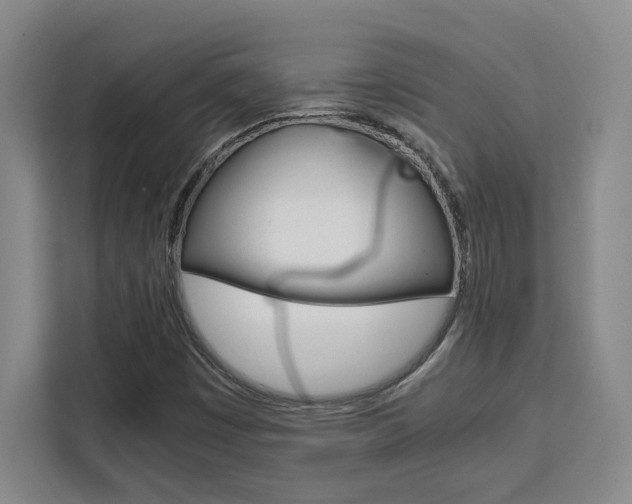 X0000111451449200907131031