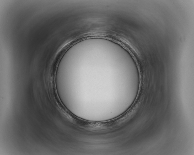 X0000111451450200907131031