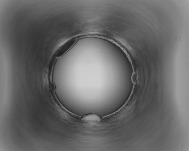 X0000111451452200907131031