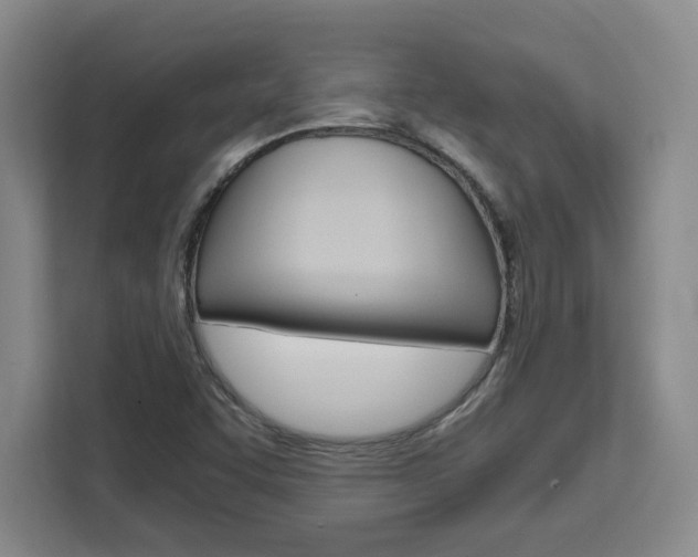 X0000111451455200907131031