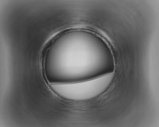 X0000111451456200907131031