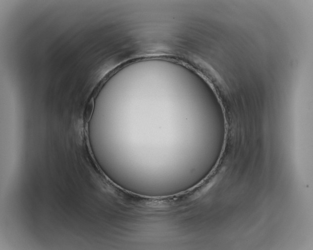 X0000111451457200907131031