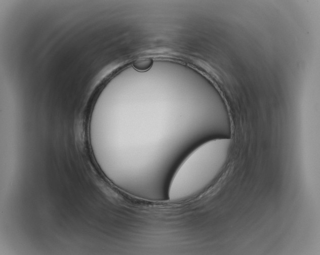 X0000111451458200907131031