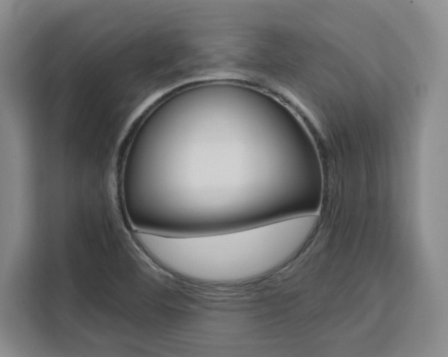 X0000111451460200907131031
