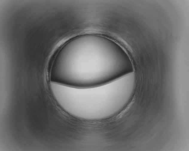 X0000111451461200907131031