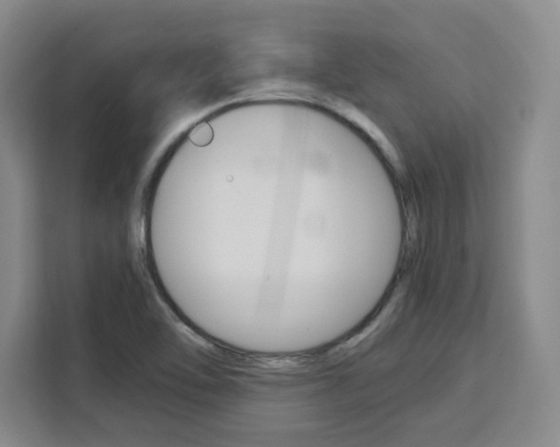 X0000111451462200907131031