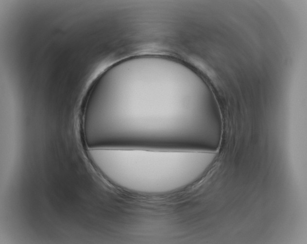 X0000111451463200907131031