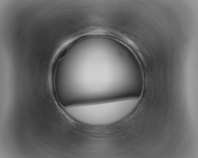 X0000111451464200907131031