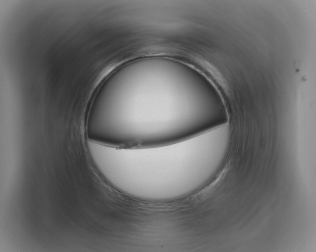 X0000111451465200907131031