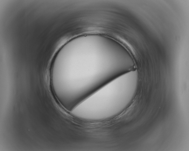 X0000111451467200907131031