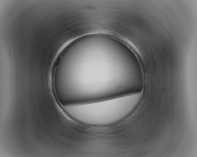 X0000111451468200907131031