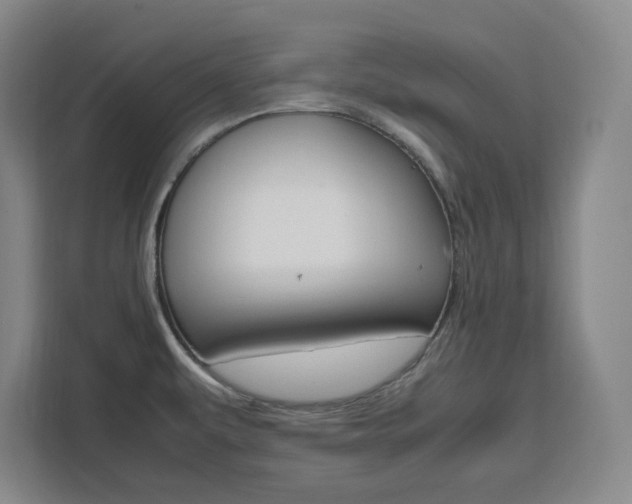 X0000111451479200907131031