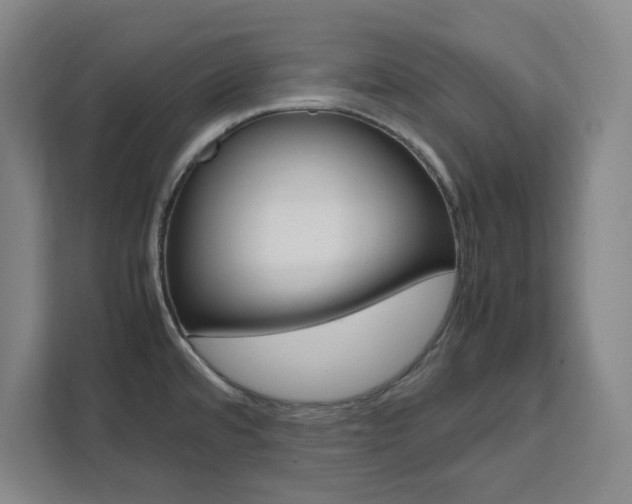 X0000111451480200907131031