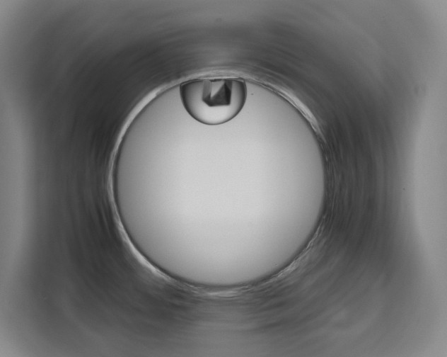 X0000111451484200907131031