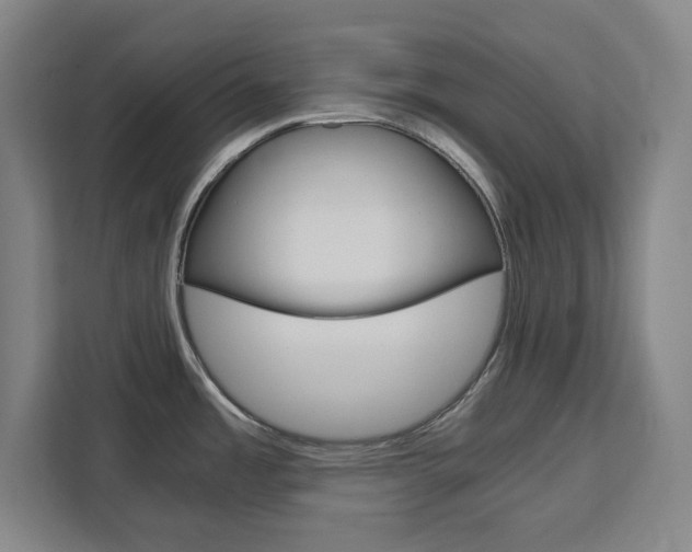 X0000111451485200907131031