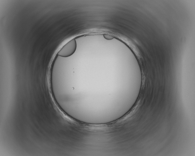 X0000111451486200907131031