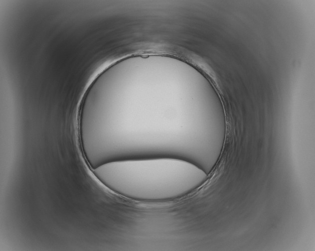 X0000111451487200907131031
