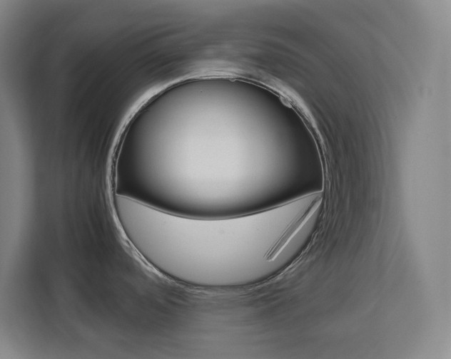 X0000111451488200907131031