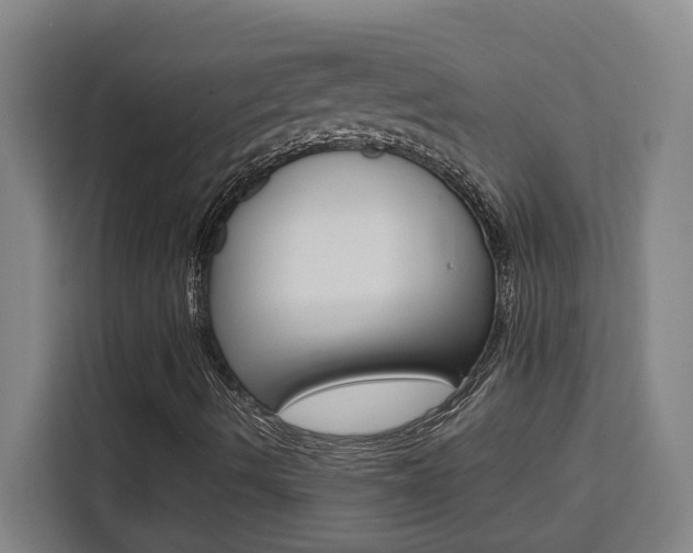 X0000111451490200907131030