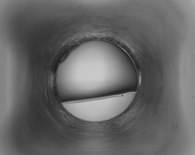 X0000111451492200907131030
