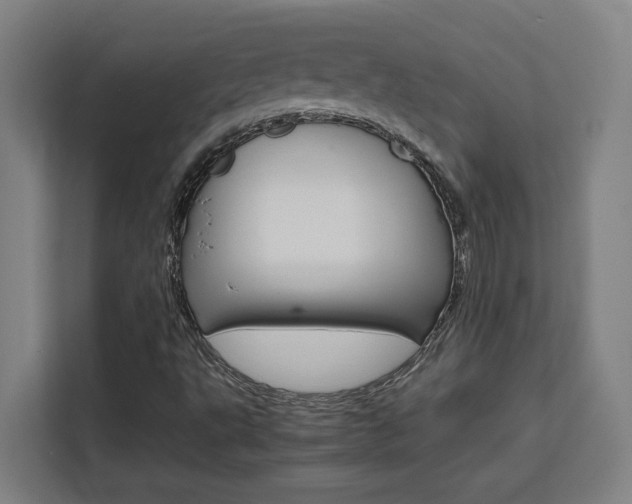 X0000111451495200907131030