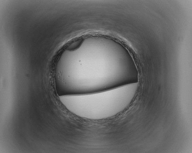 X0000111451496200907131030
