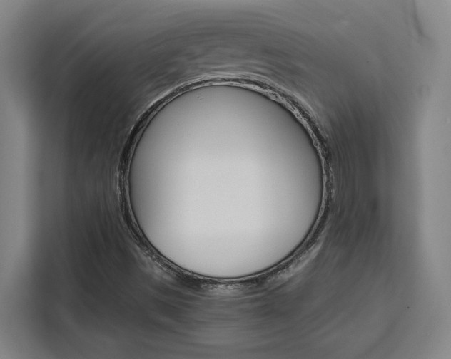 X0000111451497200907131030