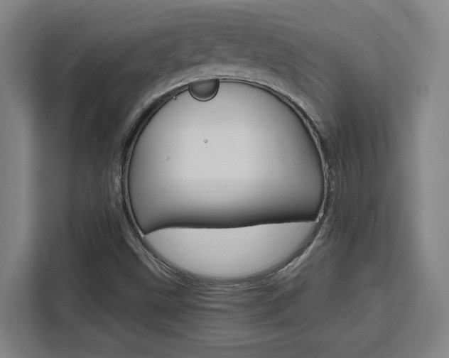 X0000111451499200907131030