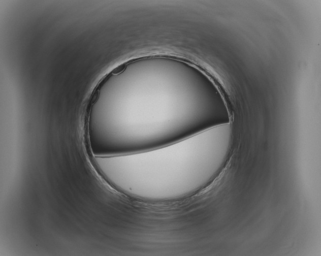 X0000111451500200907131030