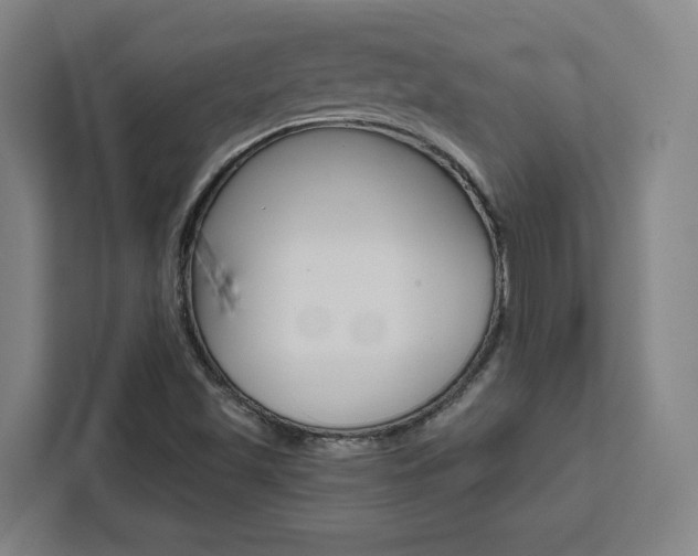X0000111451501200907131030