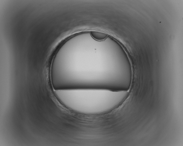 X0000111451503200907131030