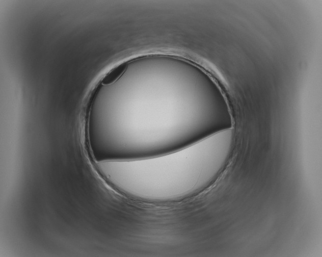X0000111451504200907131030