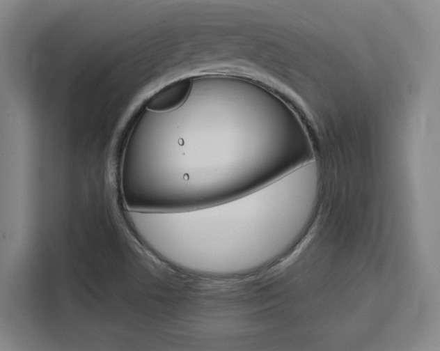 X0000111451506200907131030