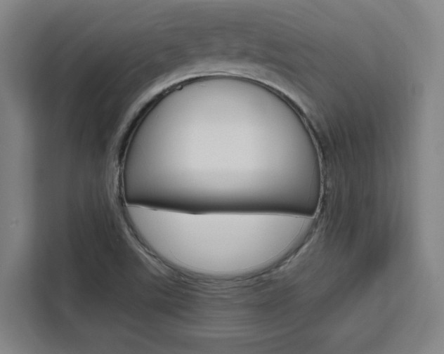 X0000111451507200907131030