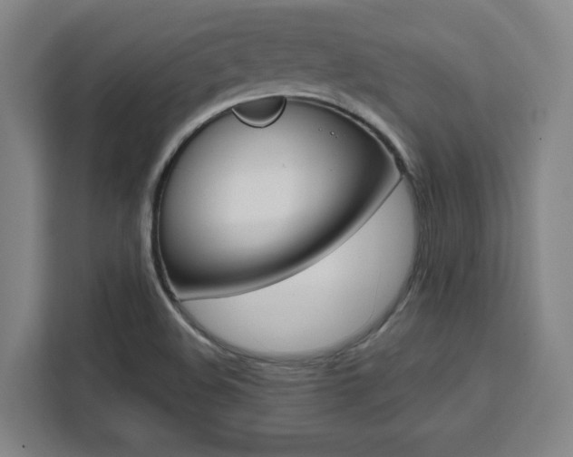 X0000111451508200907131030