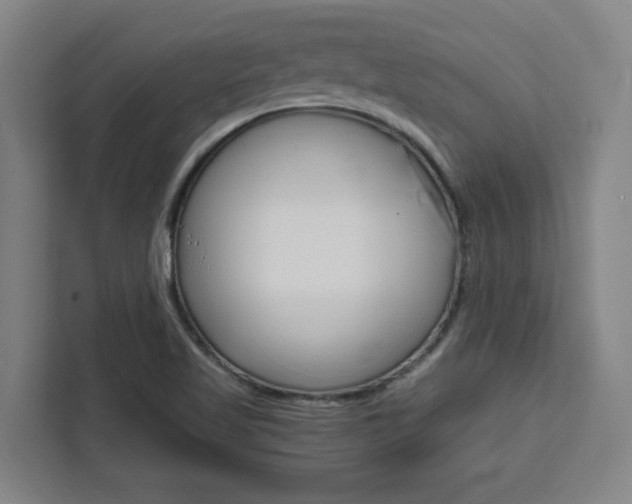 X0000111451509200907131030