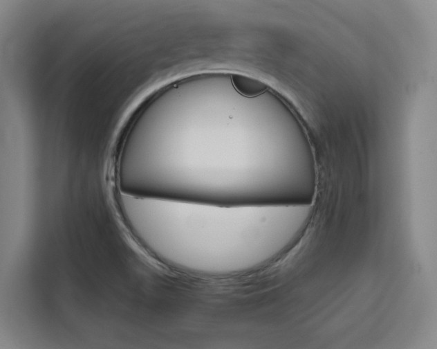X0000111451511200907131030