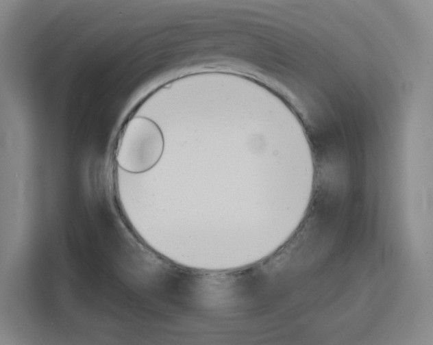 X0000111451514200907131030